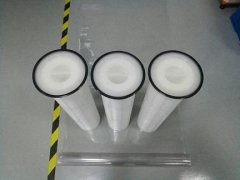 bag -sized cartridge